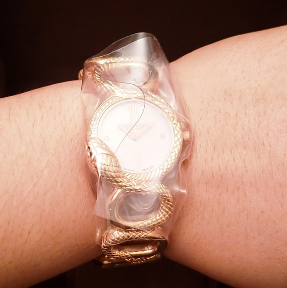 Roberto Cavalli by Franck Muller Womans Snake Bracelet Watch ( RV2L018M0031 ) - Picture 8 of 10